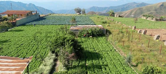 Lote De Terreno Para Operaciones De Carácter Agrícola.