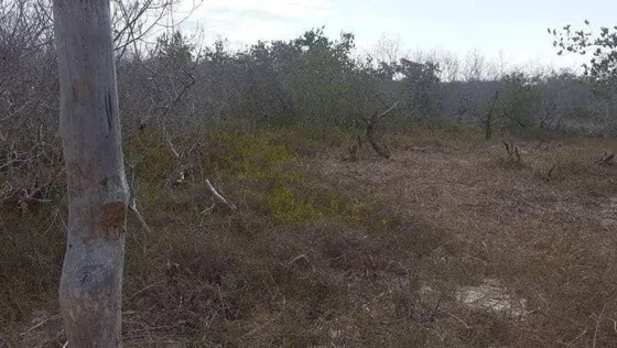Terreno Lote En Holbox