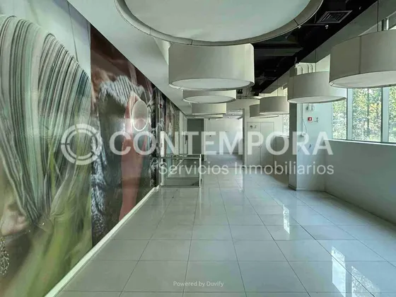 Local En Nueva Las Condes
