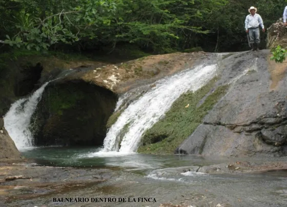 Agua Viva Todo El Año Además De Agua Del Iddan, Con Excelente Acceso