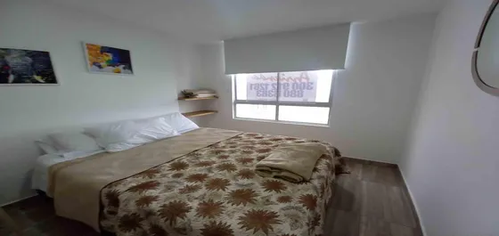 Apartaestudio En Arriendo En Lleras/manizales  (279062660).