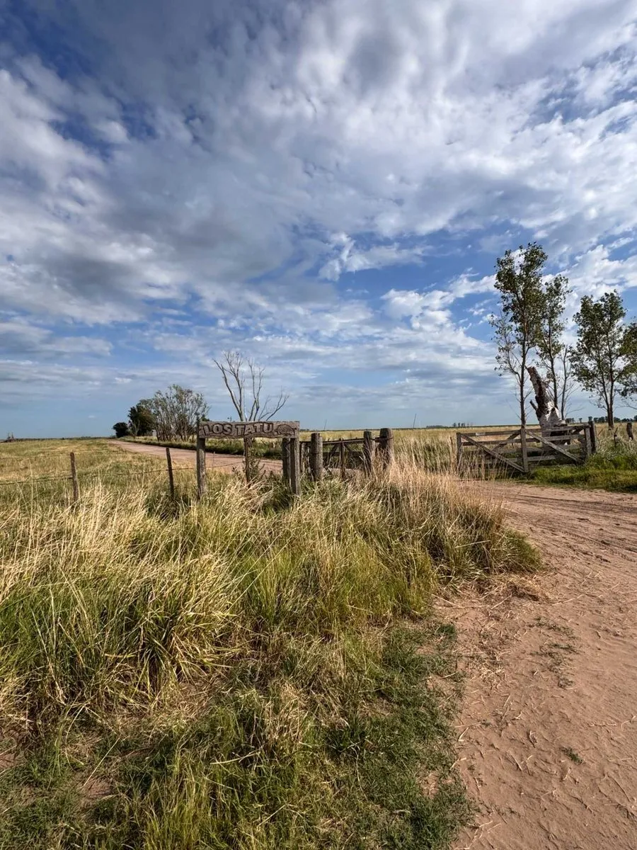Farm for Sale in Carlos Tejedor
