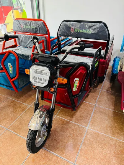 Triciclo Eléctrico De Carga.