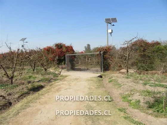 Parcelas Sin Urbanizar De 6300 Mts En Lonquen En C De Tango