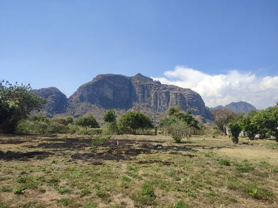 Venta De Terrenos En Tlayacapan, Morelos Todo O En Lotes