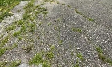 Terreno En La Boyera