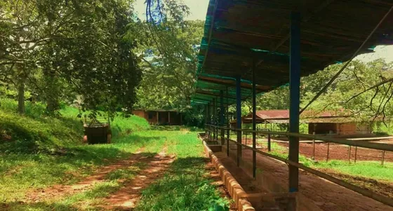 Dc231399 En Venta Finca Multiproposito El Trapiche En Miranda Carabobo Solo Clientes