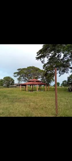 Hato San Gabriel Calabozo Edo. Guárico 
