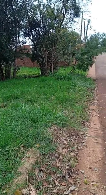 Terreno En Oberá | Amplia Superficie Y Potencial De Desarrollo