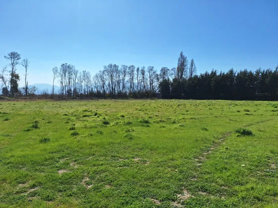Sitio En Venta, Sector Las Mercedes, Requinoa.