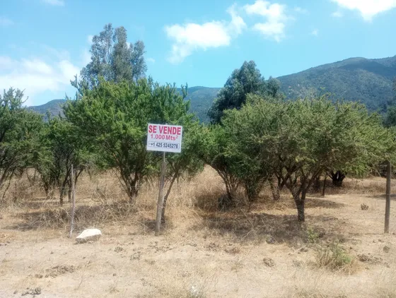Terreno Urbano En Olmué