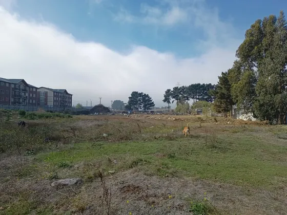 Terreno En Coronel 13.800 Mt2 