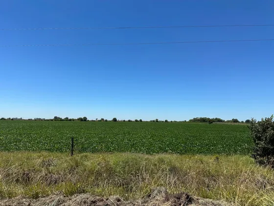 Casa Con Galpon En Elvira- Lobos 35 Hectareas