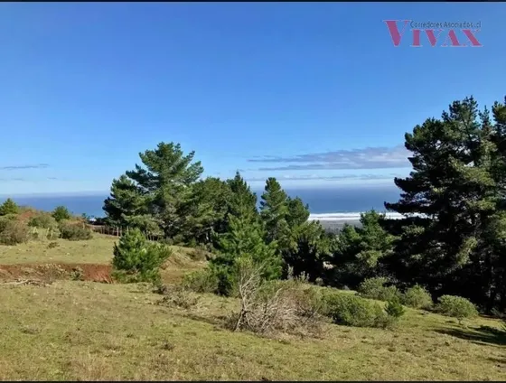 Parcela En Venta En Pichilemu
