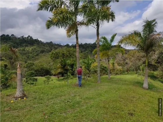 Finca En Venta , En La Vía La Vega Sasaima Precio De Oportunidad
