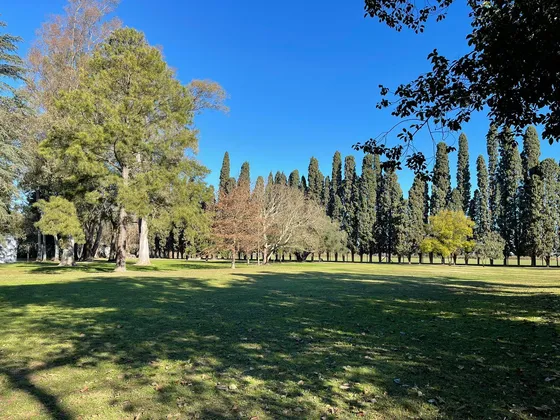 Quinta En Esperanza