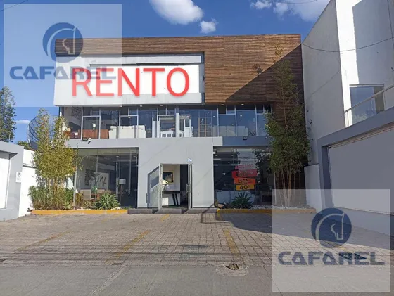 Local En  Av. Constituyentes En Renta  (eg)