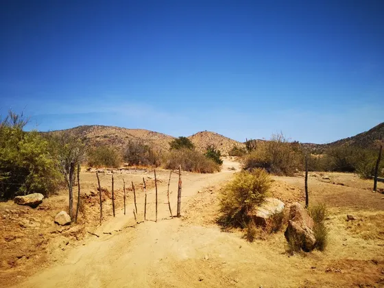 23 Hectáreas, Naturaleza Autóctona, Valle De Colliguay.
