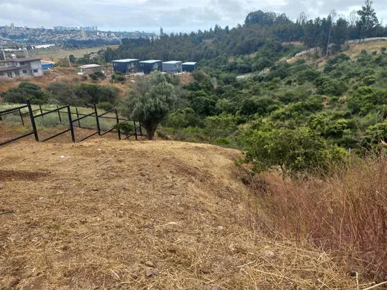 Sitio En Venta En Quintero A 5 Km De La Rotonda De Concón