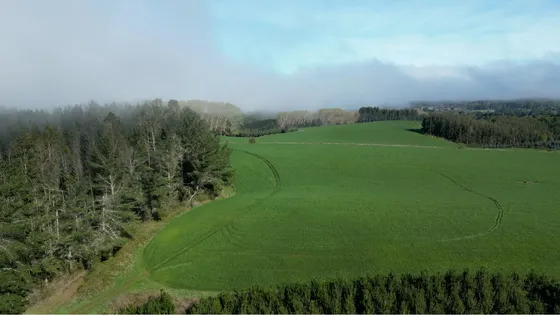 Venta Fundo 348,5 Hectáreas Los Lagos, Región De Los Ríos