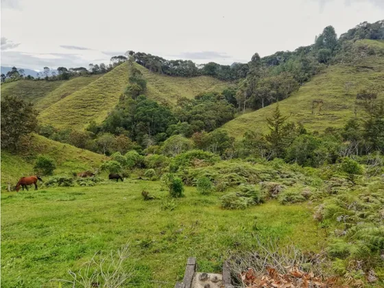 Lote En Parcelación Municipio Del Retiro En Pantanillo