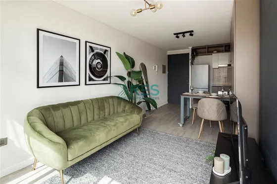Departamento En Venta De 1 Dorm. En Santiago