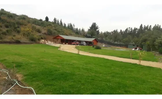 Espectacular Parcela 20.000 M2 En Ruta Hualqui - Yumbel