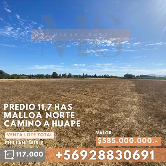 Predio De 11.7 Has. Malloa Norte, Chillán, Ñuble