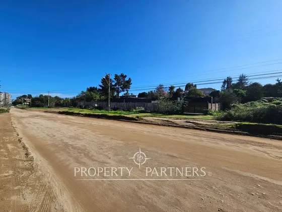Terreno Urbanizado En Los Pinos Reñaca
