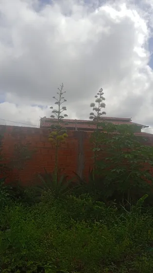 Sobrado 600mts