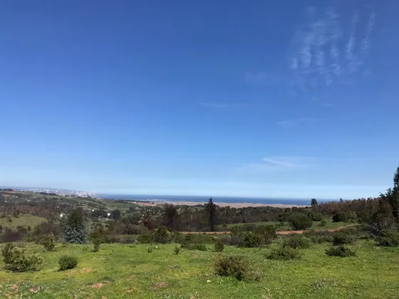 Sitio En Venta En Quintero