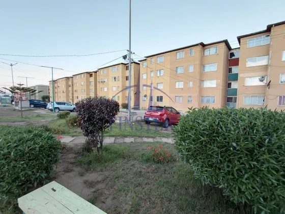 Depto 3d 1b En Condominio Normandie, Terminal Quintero