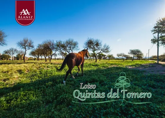 Ultimos Lotes, Terrenos En Venta, Quintas Del Tomero, Merlo, San Luis. 