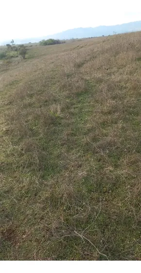 Sitio En Venta En Ninhue