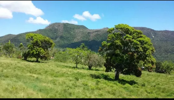 Te Vendo Excelente Finca/puerto Plata/palo Indio/maimón R.d