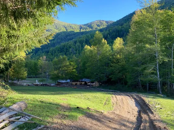 Campo Madedrero