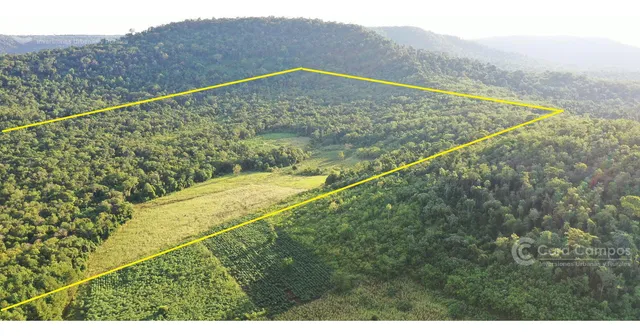 Chacra En Venta De 49 Ha En Aristóbulo Del Valle 