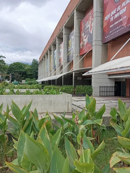 Local En Alquiler. Centro Comercial, Plaza Las Américas.