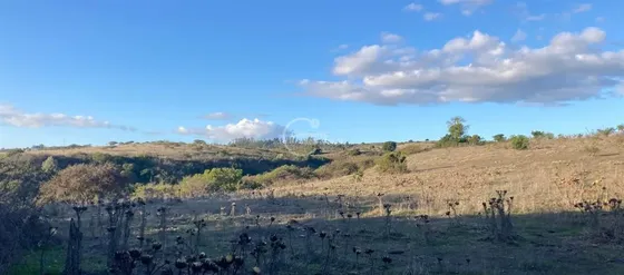 Agrícola En Venta En Santo Domingo
