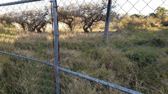 Terreno Urbano En Centro Jiutepec, Jiutepec, Morelos - Caen-er-1027-tu