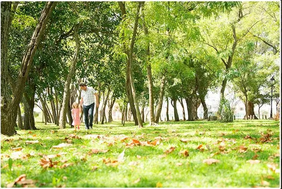 Terreno En Venta San Vicente