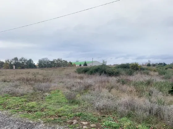 Venta/arriendo De Terreno En Lautaro Id 82.738-lin