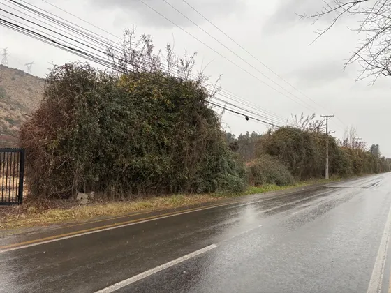 Pleno Camino Padre Hurtado