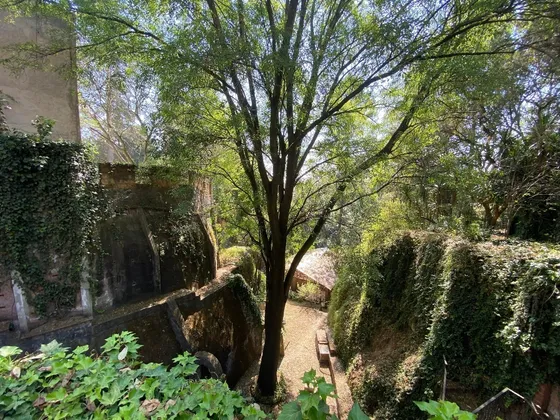 Venta De Terreno En Calzada Al Desierto De Los Leones
