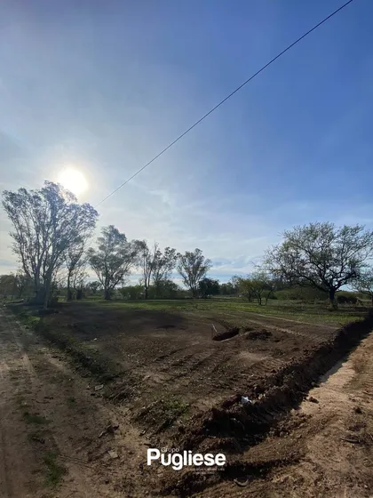 Terrenos En Venta En Barrio Cerrado Viedma Chico