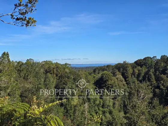 Linda Parcela Con Bosque Nativo En Condominio, Con...