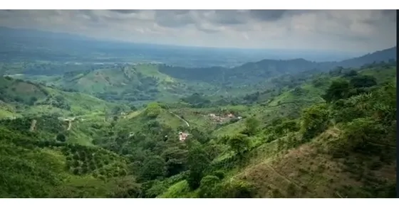 Venta Finca Cordoba Vereda La Concha - 16 Hectareas