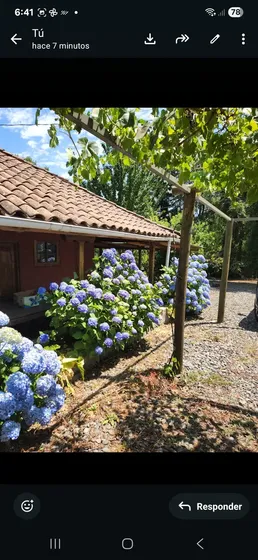 Casa 3 Dormitorios Mas Gran Altillo, 2 Baños, Luz, Agua Jard