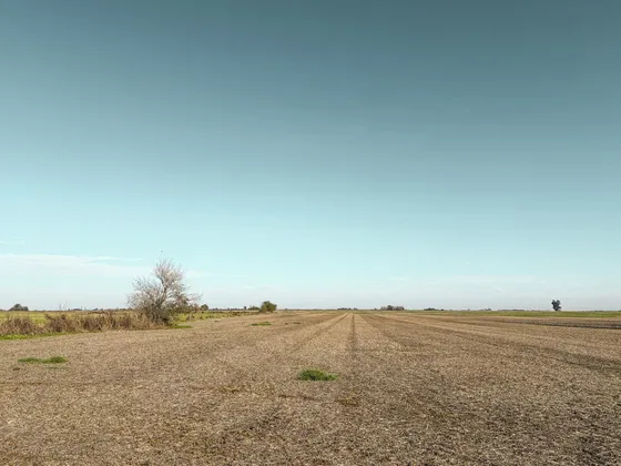 Campo De 40 Hectáreas Con Suelo De Excelente Aptitud Agrícola En Bigand