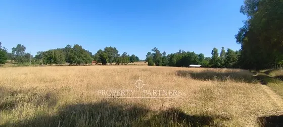 Se Vende Hermoso Terreno De 4.10 Hás. Camino A Gor...